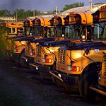 School Buses - Michael Hicks/Flickr Creative Commons